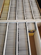 Pokémon 1000 Card Bulk Lot – Instant Collection – Commons Wholesale