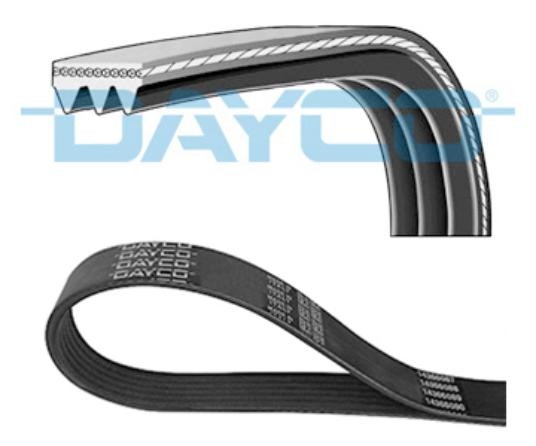 Correa Poly-V 3PK812 DAYCO