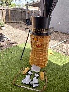 Mr Peanut Costume | eBay