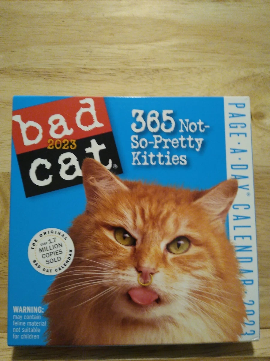 2023 Bad Cat Page-A-Day Calendar 2023 Desktop 365 Not So-Pretty Kitties  9781523516292 | eBay