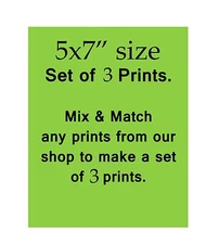 Set of 3 unframed prints size 5x7" mix & match any 3 single prints from my shop