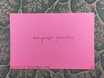 Amparo Grisales Bolivar Is Me Las muñecas de la mafia