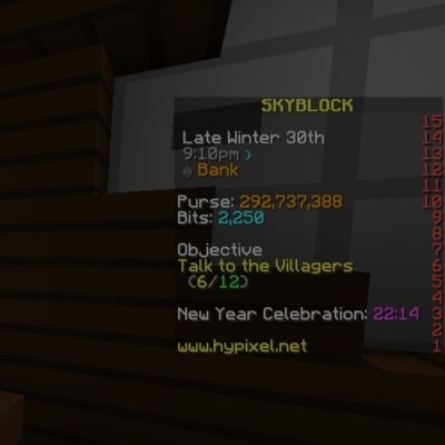Hypixel Skyblock Coins 50 Mio