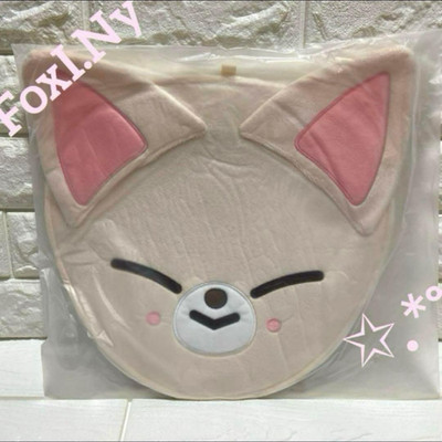 Stray Kids I.N FoxI.Ny IMAGE PICKET COVER CASE MANIAC ENCORE in Japan NEU JYP