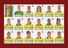 Brazil Team - 18 Stickers Set - Panini FIFA Women's World Cup 2015