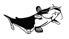 Catfish Fishing Vinyl Decal Your Color Choice Sticker