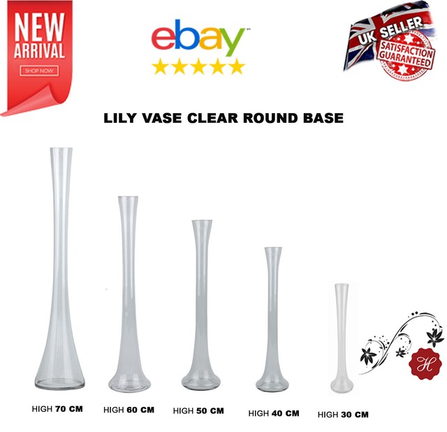 12 X 50cm Tall Round Base Clear Glass Lily Vase Vases Tables