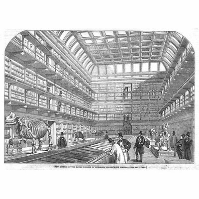 LONDON Royal College of Surgeons at Lincoln's Inn Fields - antiker Druck 1854