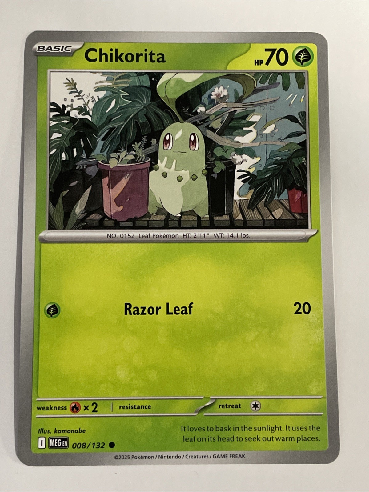 Chikorita 008/132 Mega Evolution Pokemon Card English Near Mint