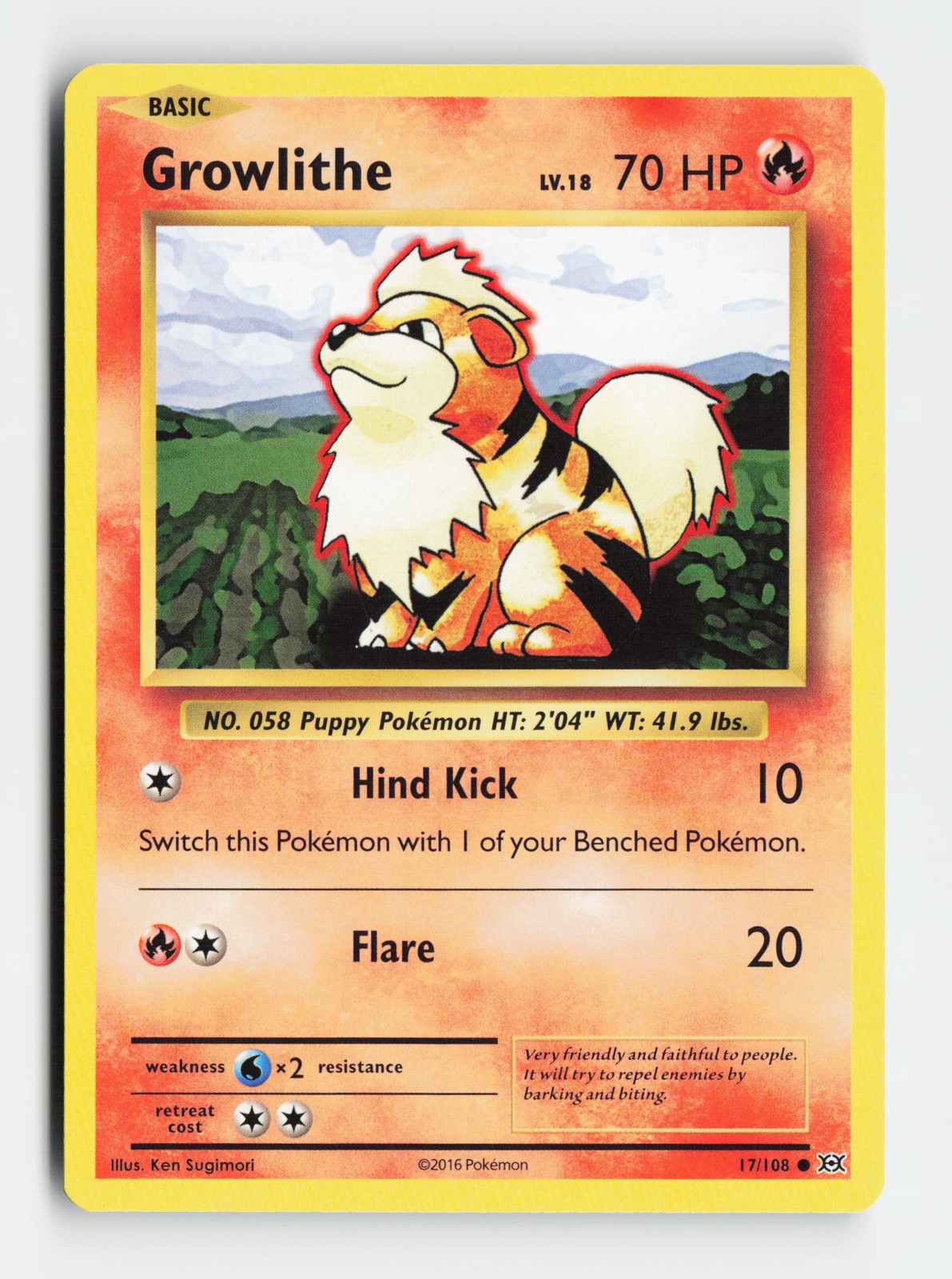 Growlithe 17/108 Common XY - Evolutions Pokemon NM