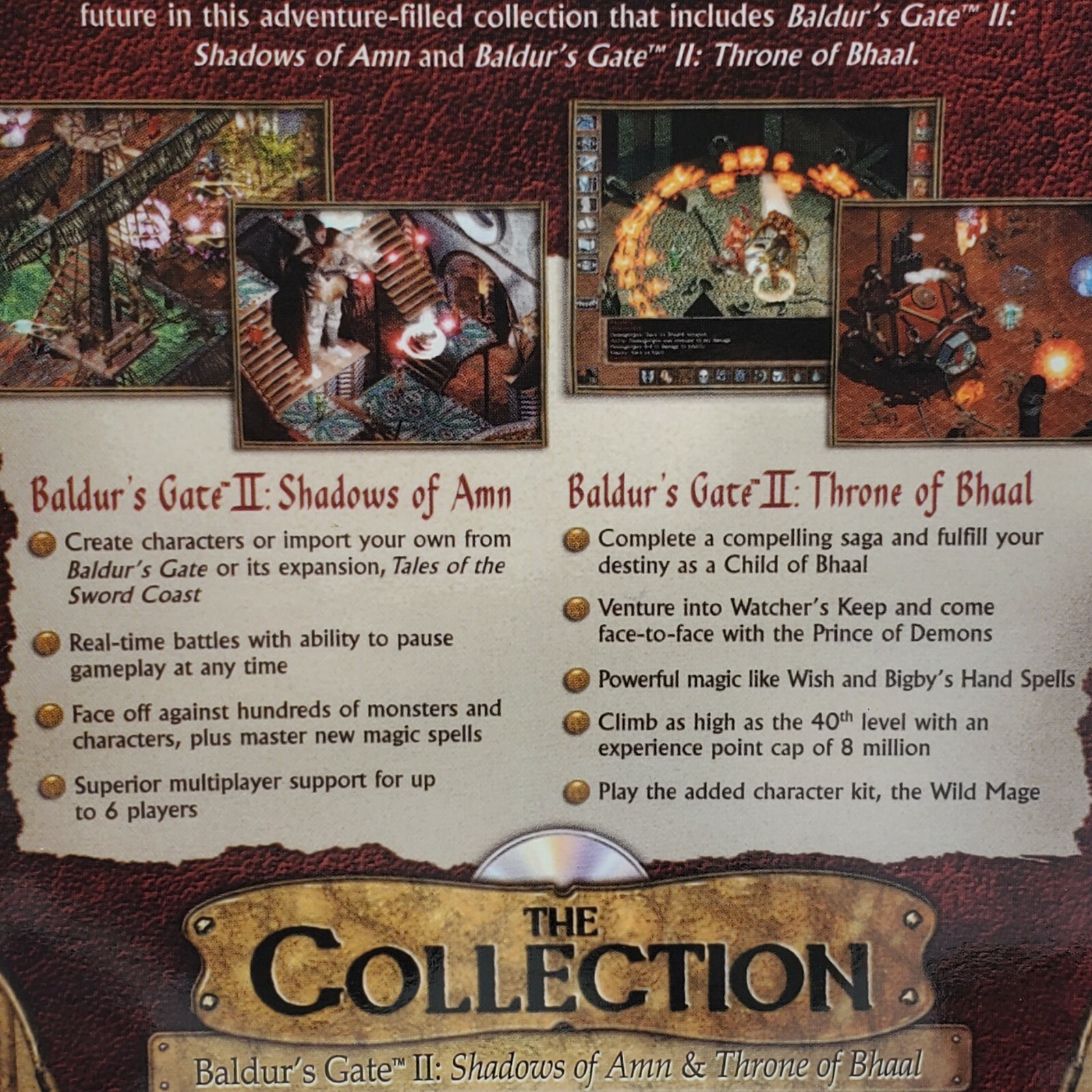 Picture 4 of 6