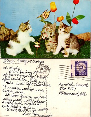 Three Kittens and Butterfly The Three Little Kittens Postcard