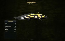  Xbox Striped Axolotl - August Rare Fish