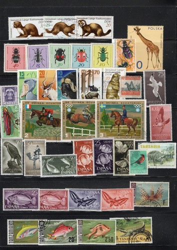 WILD ANIMALS Collection Packet 50 Different Stamps - Imagen 4 de 5