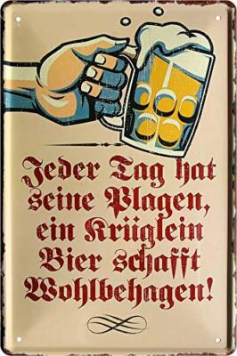 Blechschilder Bier lustiger Spruch  JEDER Tag HAT Seine PLAGEN  20x30 cm