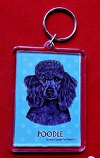 Standard Poodle Key Chain 2"x 3"