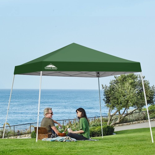 EAGLE PEAK 10x10 Slant Leg Pop-up Canopy Tent - Picture 59 of 365