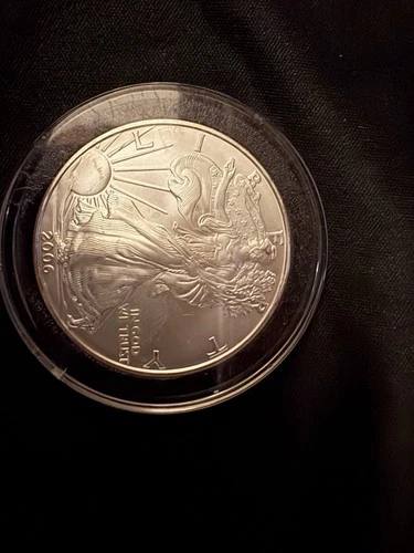 2006 Silver Eagle walking lib 1 ounce silver First Year With Burnished Finish