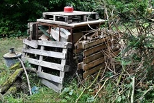 Photo 6x4 Raveningham Sculpture Trail 2020: Unspecified work 5  c2020