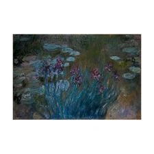 Claude Monet - Irises and Water-Lilies Hand-painted Oil Painting Wall Art