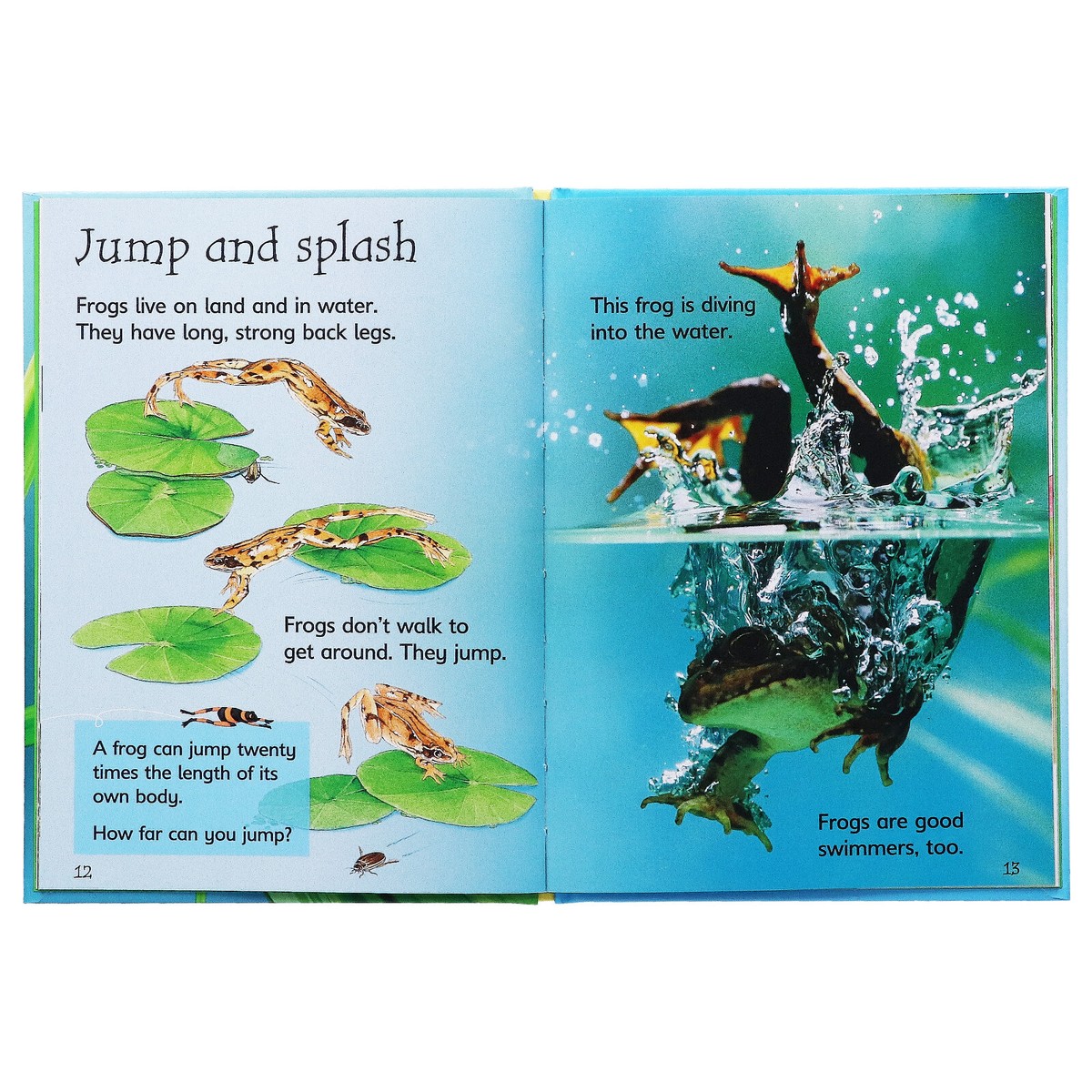【Usborne】Beginners Nature Collection Nature Beginners Boxset Collection - Usborne Books - YouTube