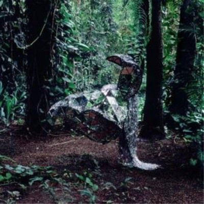 CSS Donkey (CD) Album