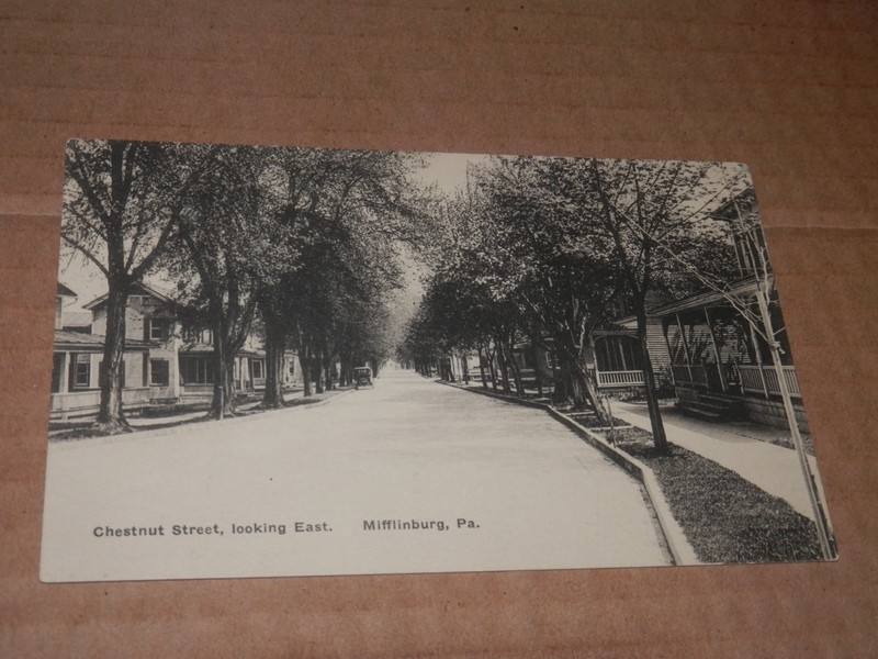 MIFFLINBURG PA - 1910'S POSTCARD - CHESTNUT STREET LOOKING EAST - HORSE n BUGGY