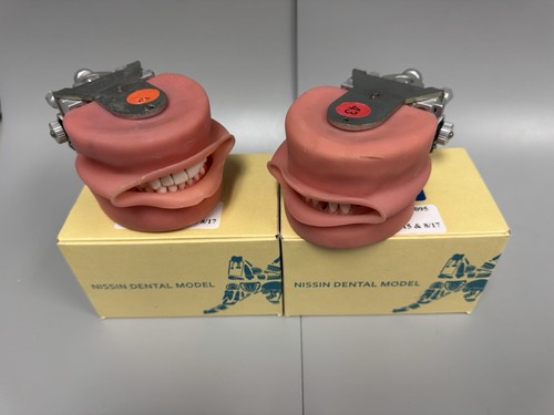 NISSIN D81SHP-200 & D85SHP-200 W/KI-905 OCC-Q Dental Model Kilgore Typodont X2