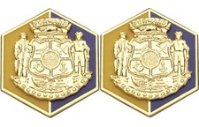 WISCONSIN STARC Distinctive Unit Insignia - Pair