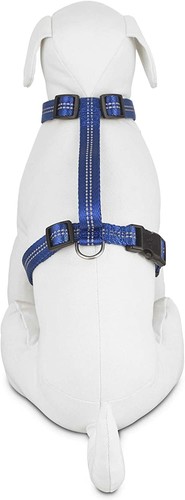 Good2Go Reflective Adjustable Dog Harness in Blue, MediumBy: Good2Go