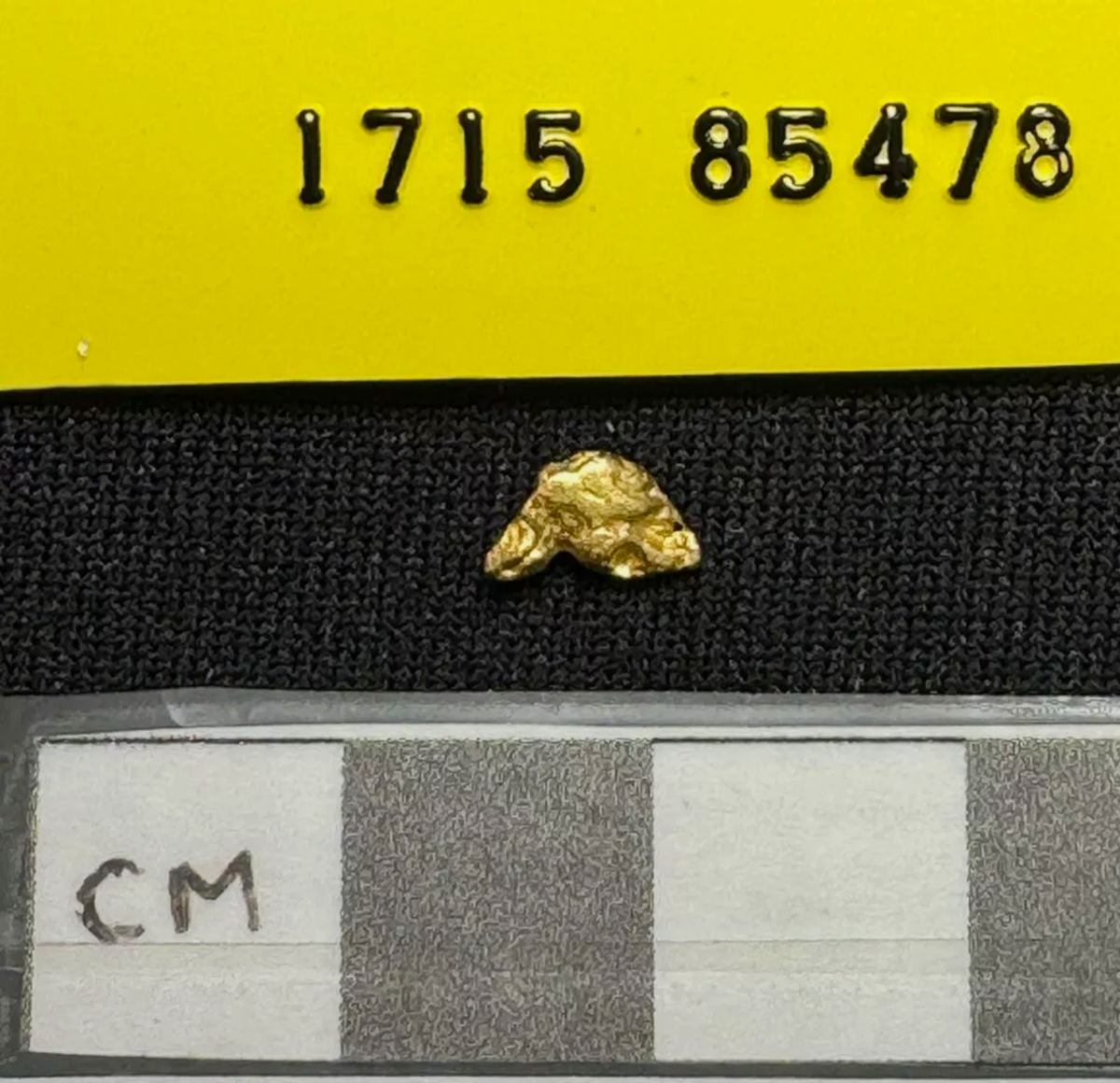 GOLD NUGGETS .33 gm 