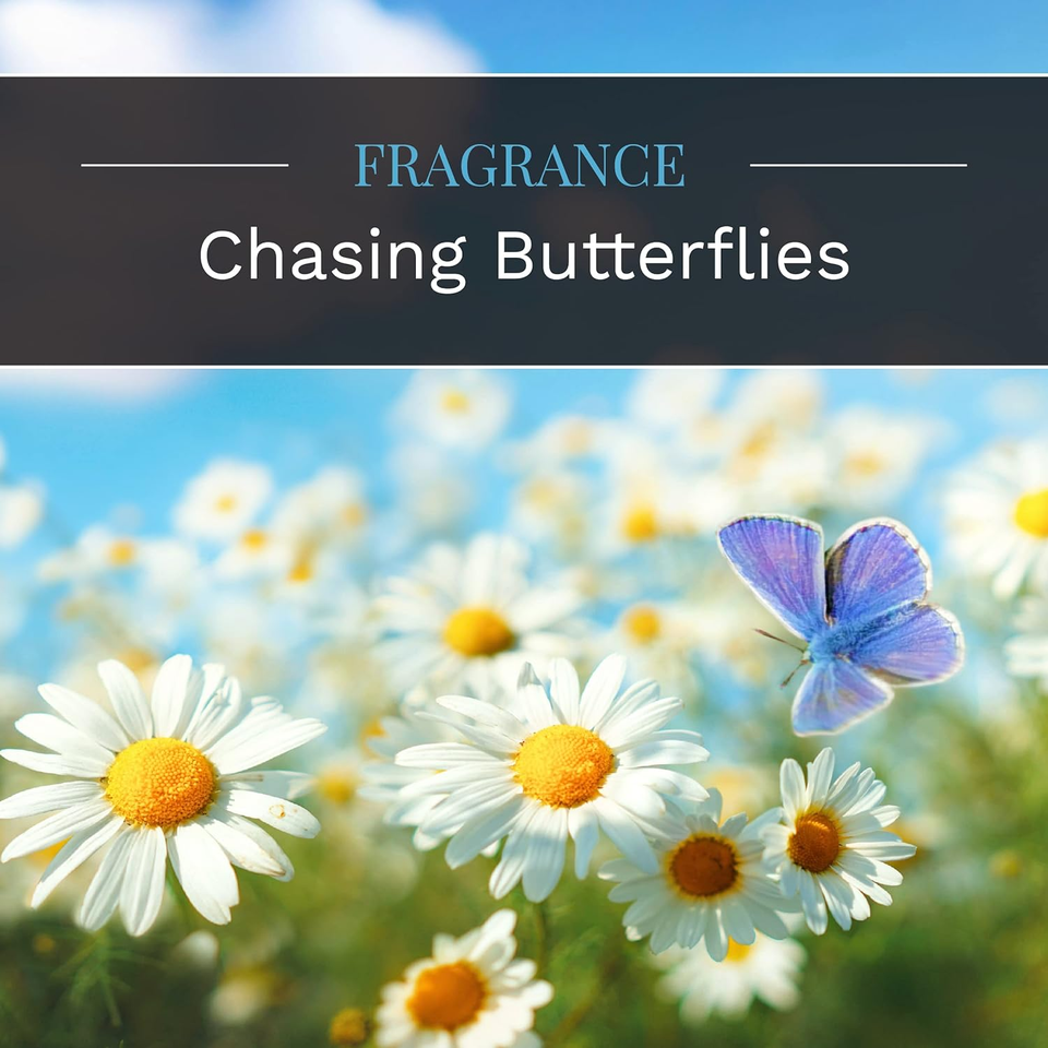 CandleLite Everday Chasing Butterflies Scented Candle, 18 Oz