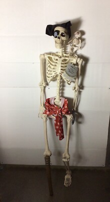 Ballast Point Beer Pirate Skeleton 60  Pose-n- Stay Figure Skull w/Crow,