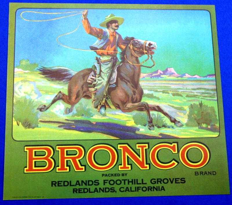 Original Vintage Bronco Brand Citrus Fruit Crate Label Redlands Foothill Groves