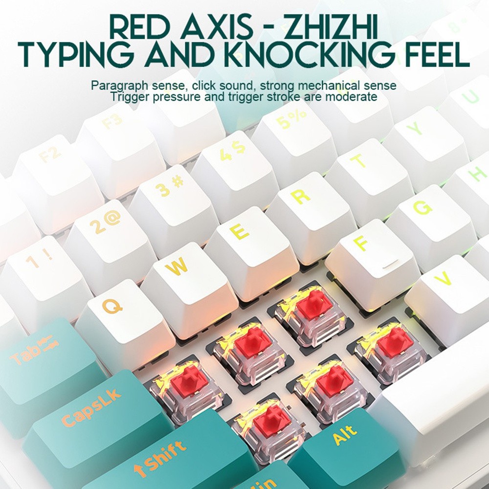ZIYOULANG 100 Key 98% Compact Layout Wired Mechanical Keyboard for Enhanced Typing Experience and Gaming Performance with 9480 Customization Options