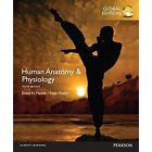 Human Anatomy & Physiology by Elaine N. Marieb, Katja N. Hoehn (Paperback, 2015)
