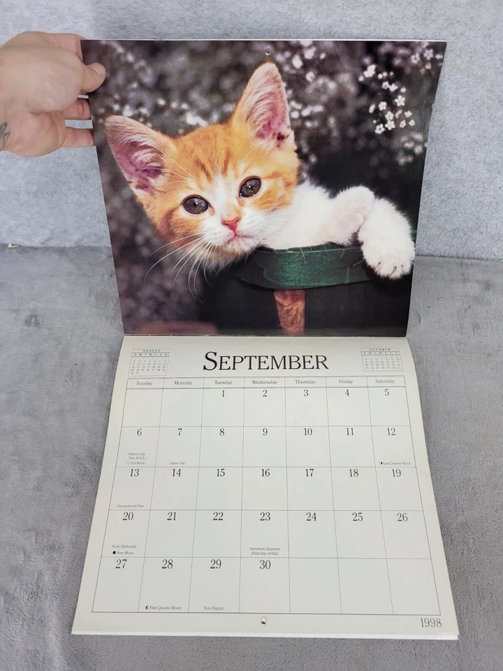 Calendario de mesa vintage 1998 Curious Cats 16 meses arte felino regalo coleccionable Foto 4 de 4