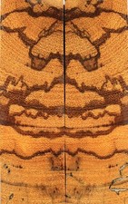 DB098 Knife Scale Worm-hole Marblewood Bookmatch Handles 5"x3.2"x0.4"