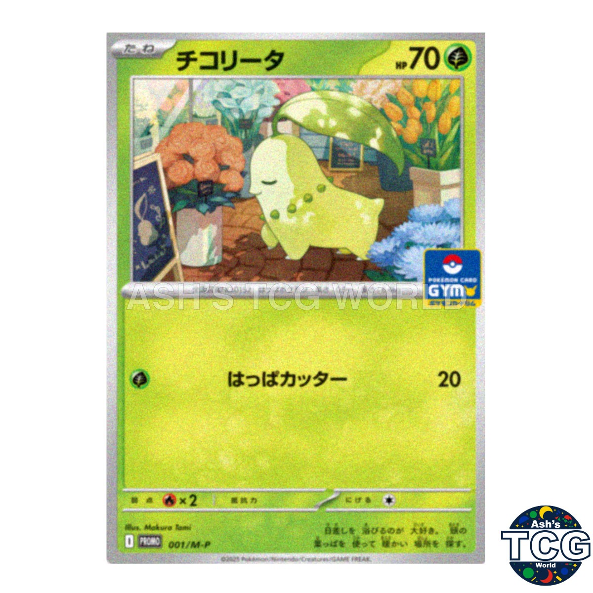 【PSA10】チコリータ　ジムプロモ　001/M-P Chikorita Promo 001/M-P M-P Pokemon Card Japanese | eBay