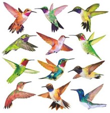 12 Large Anti Collision Window Clings Bird Decals for Prevent Bird Strikes