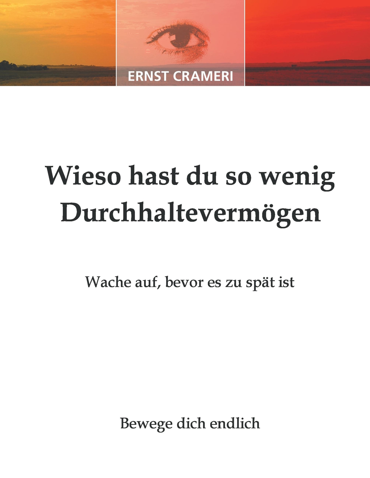 Wieso Hast Du So Wenig Durchhaltevermögen Ernst Crameri 9783866890060