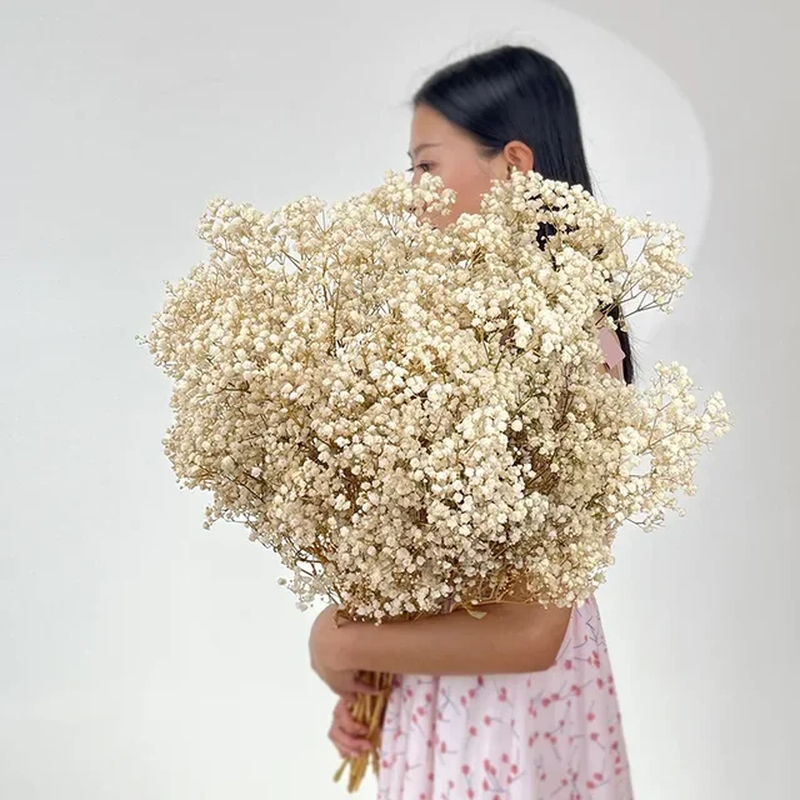 100G Dried Flowers Baby Breath Preserved Flowers Gypsophila Bouquet Boho Home De-image