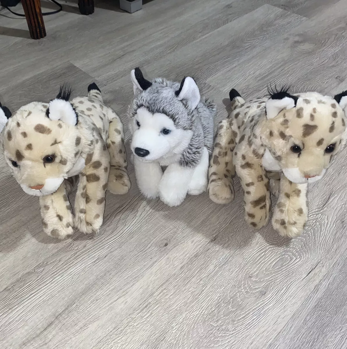 Animal alley husky top