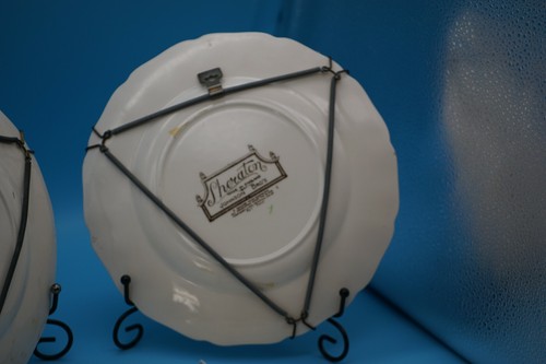 Set of 2 Vintage Cabinet/Wall Porcelain Plates with hangers Johnson Bros - Picture 4 of 10