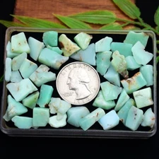 42 Pcs Natural Chrysoprase 8mm-15mm Untreated Loose Polished Rough Gemstones Lot