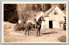 Postcard RPPC c1910 Equestrian Rider on Well Bred Horse English Saddle A23