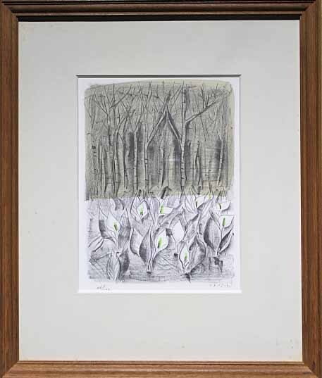 Picture 1