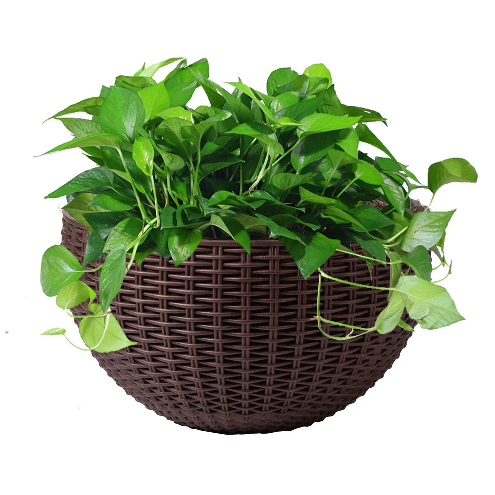 Wall Mounted Plastic Garden Baskets Flower Planter Plant Pot Hanging Decor eBay
