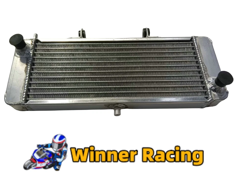 RADIADOR ALUMINIO APRILIA RS50 2006-2010 2007 2008 2009 réplica Foto 2 de 4