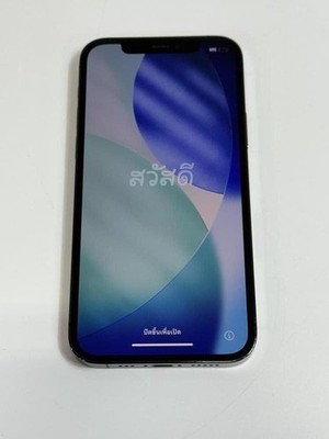 Apple iPhone 12 Pro 256GB A2341 Graphite (Unlocked) - Fair